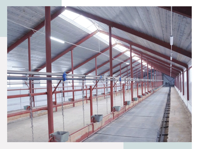 Строительство коровников в Абакане от 613 руб.