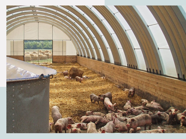 Строительство свинарников в Абакане