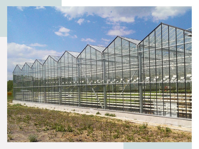 Строительство теплиц в Абакан от 613 руб. за м²