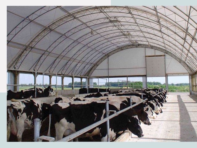 Тентовые коровники в Абакане